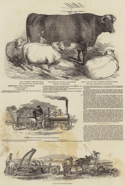 Exposition de bétail du Smithfield Club - Harrison William Weir